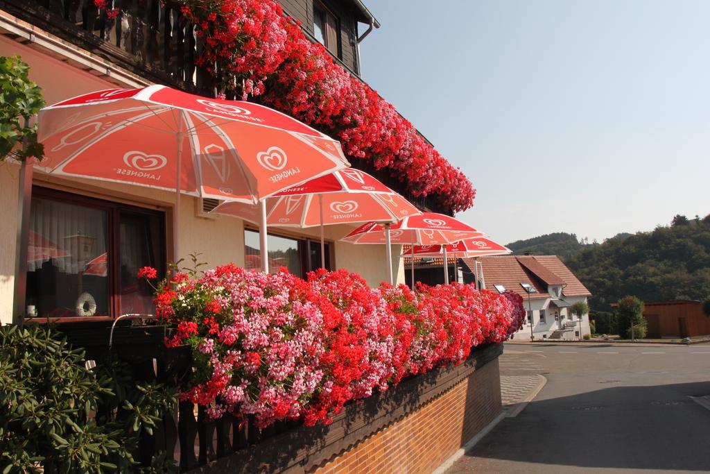 Landgasthof Hotel Sauer Willingen  Buitenkant foto